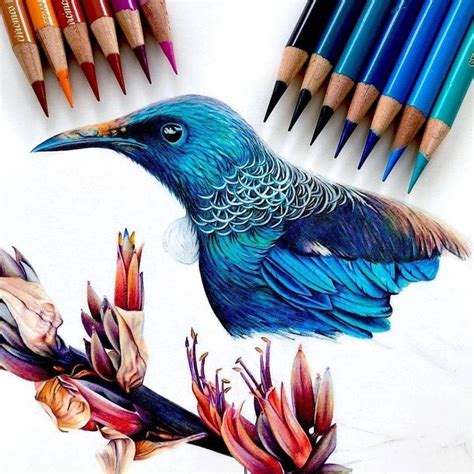 Drawing using colored pencil.buhay kabukiran .